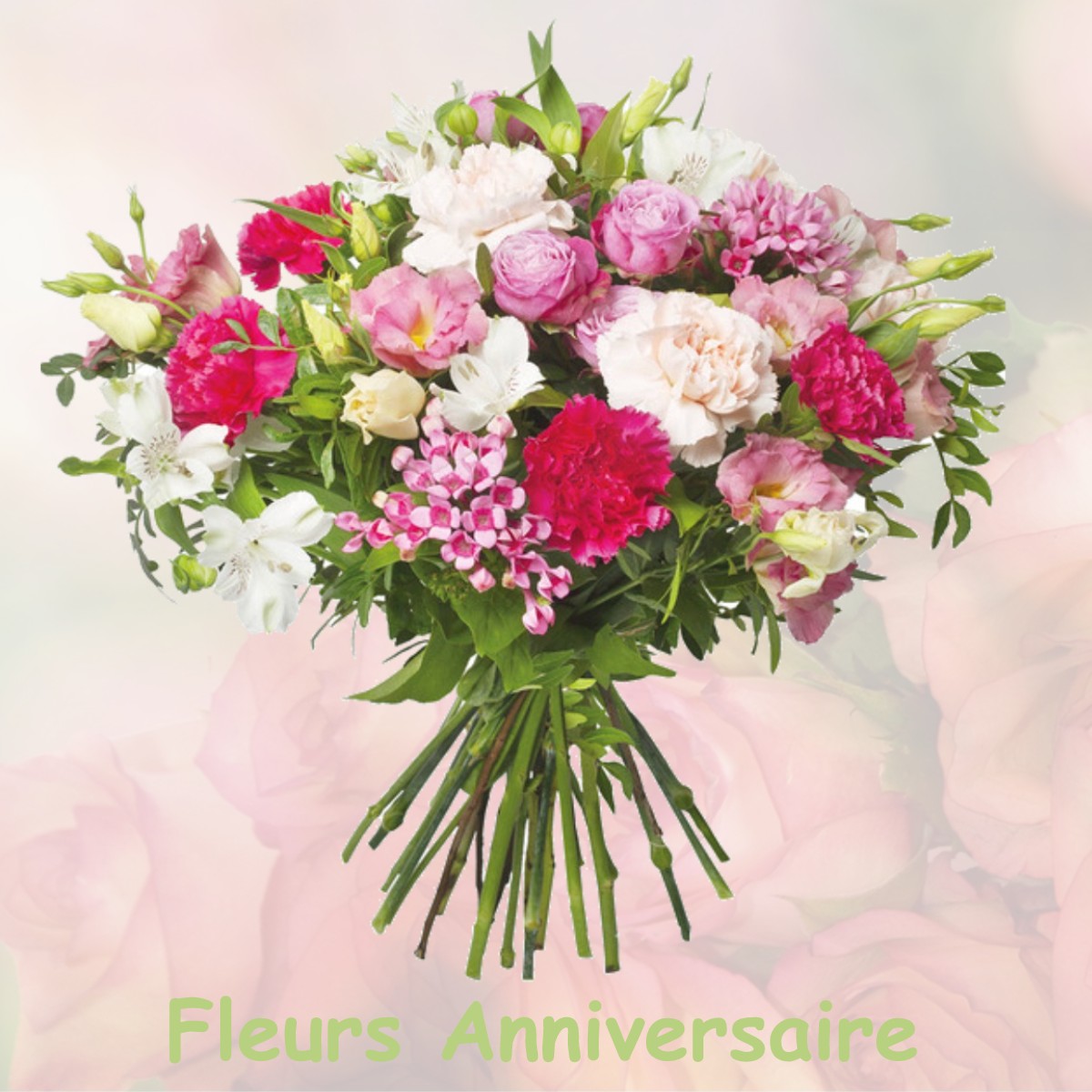fleurs anniversaire JOUY-MAUVOISIN